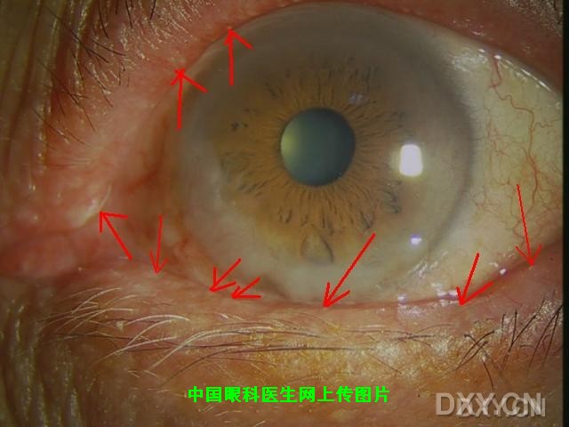 Click to view full 24433139.snap.jpg (640 X 480)
