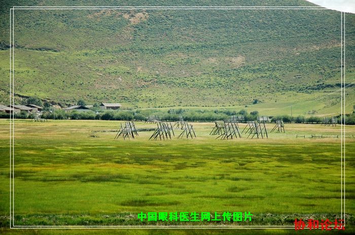 dvubb 按此在新窗口浏览图片